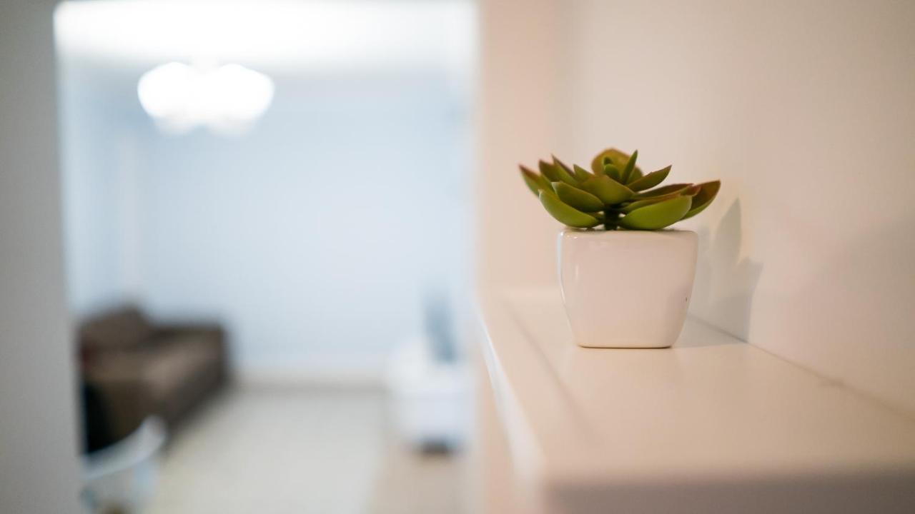 バーリCasa Di Floアパートメント エクステリア 写真
